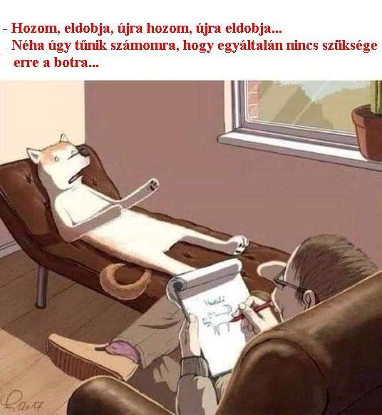 - Hozom, eldobja, újra hozom, megint eldobja... Néha úgy tűnik nekem, hogy egyáltalán nem kell neki ez a bot..